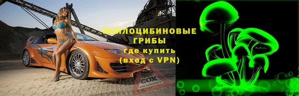 ешки Карпинск