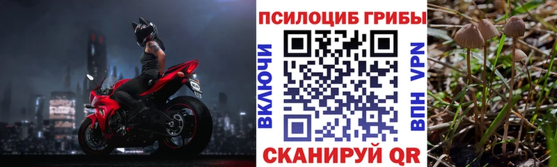 Псилоцибиновые грибы мухоморы  Тотьма 